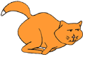 Free Cat Clipart